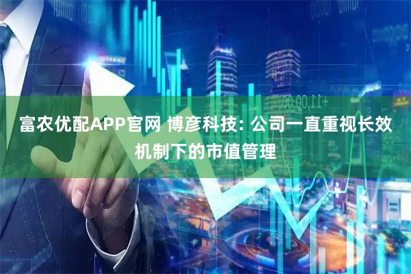 富农优配APP官网 博彦科技: 公司一直重视长效机制下的市值管理